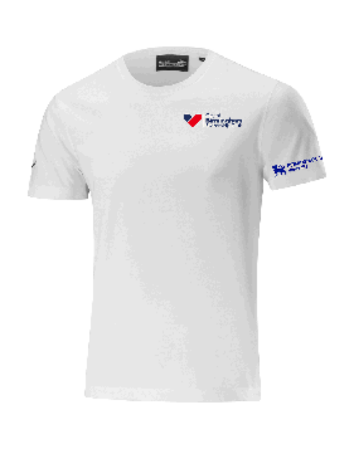 City of Birmingham Swimming SHIZUOKA TEE - Mens Fit