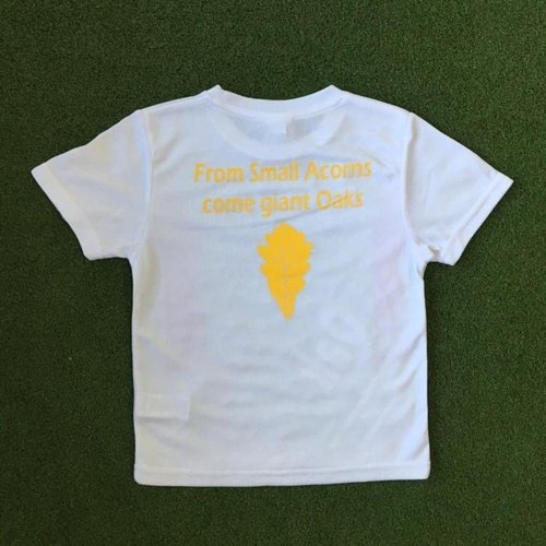 Blackwood School PE T-Shirt - Oak House