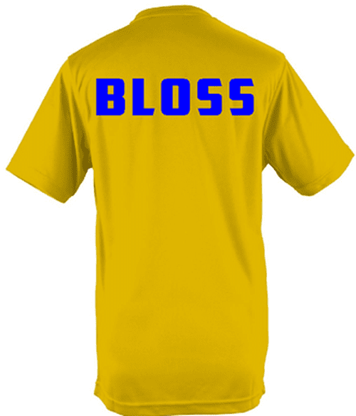 Solihull Blossomfield Training Tee