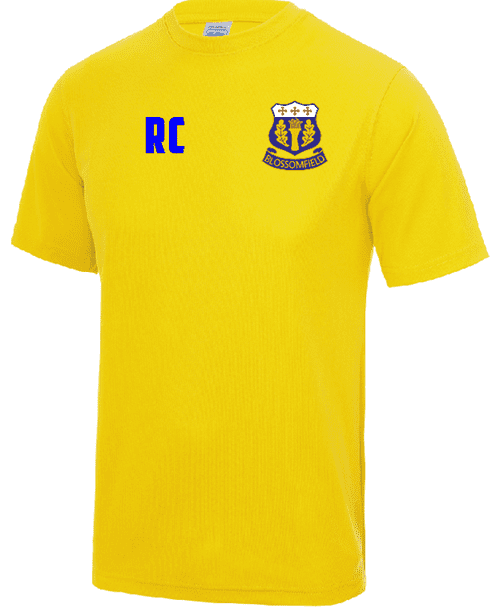 Solihull Blossomfield Training Tee