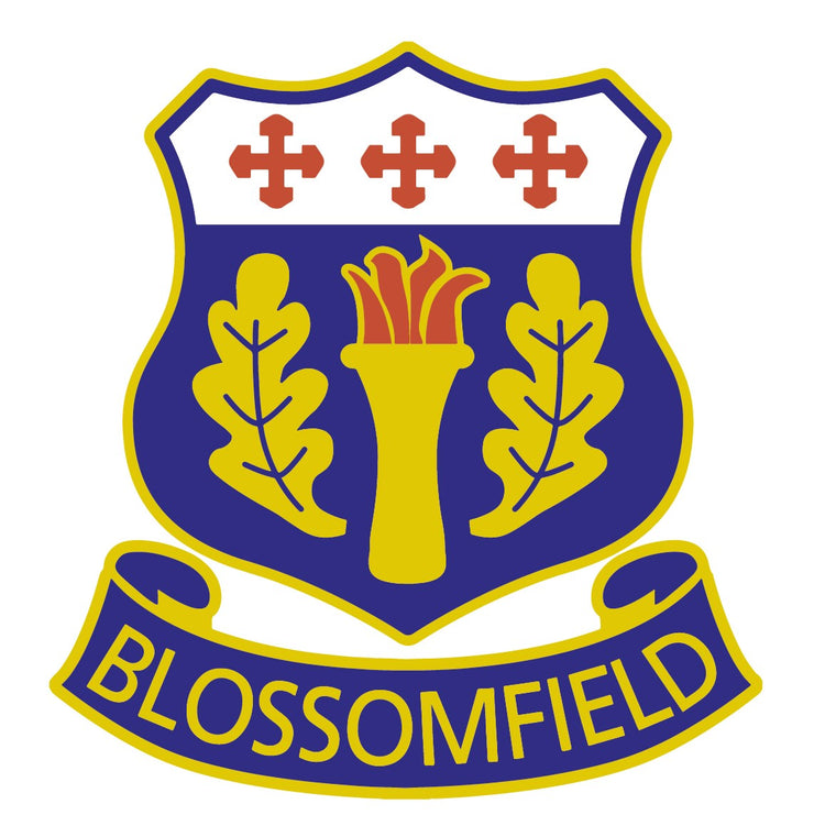 Solihull Blossomfield HC