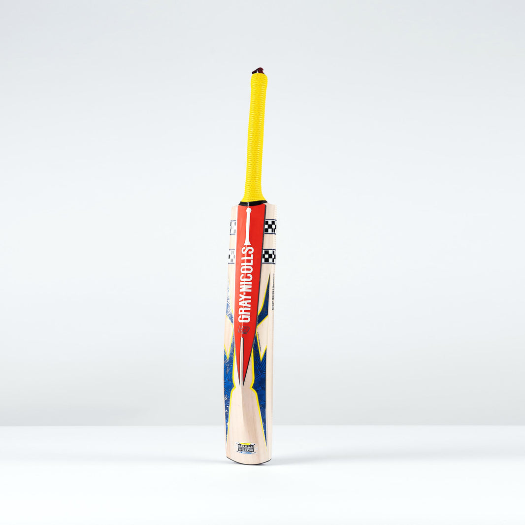 Harry Brook 317 Smash Cricket Bat