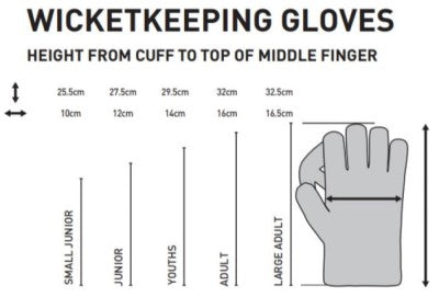 WICKET KEEPING GLOVES - Aion 909