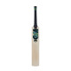 GM Aion Cricket Bat