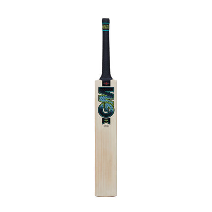 GM Aion Cricket Bat