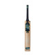 GM Aion Cricket Bat