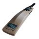 GM Aion Cricket Bat