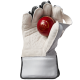 WICKET KEEPING GLOVES - Aion 909