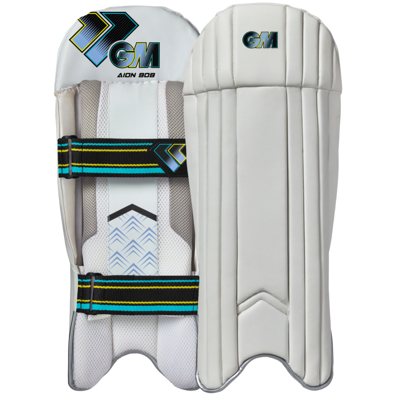 AION 909 Wicket Keeping Pads
