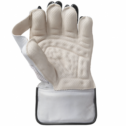 WICKET KEEPING GLOVES - Aion 909