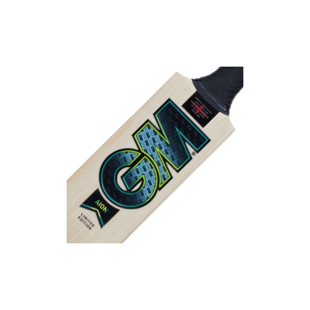 GM Aion Cricket Bat