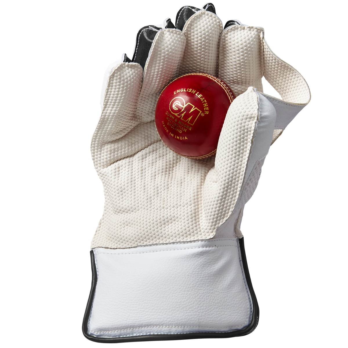 WICKET KEEPING GLOVES - Aion