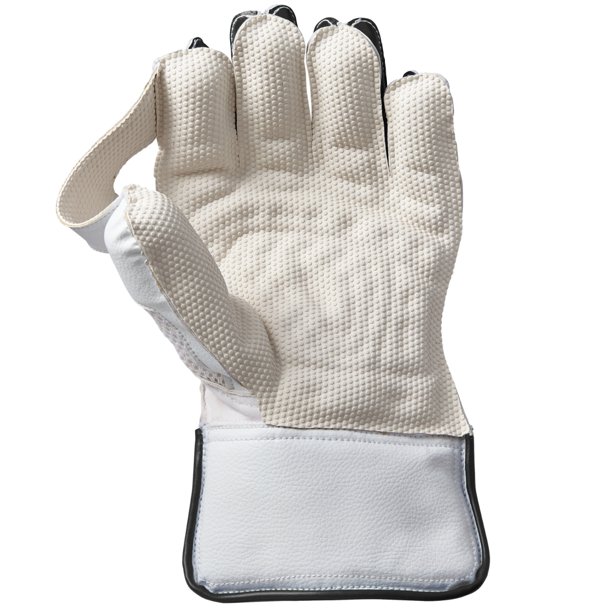 WICKET KEEPING GLOVES - Aion