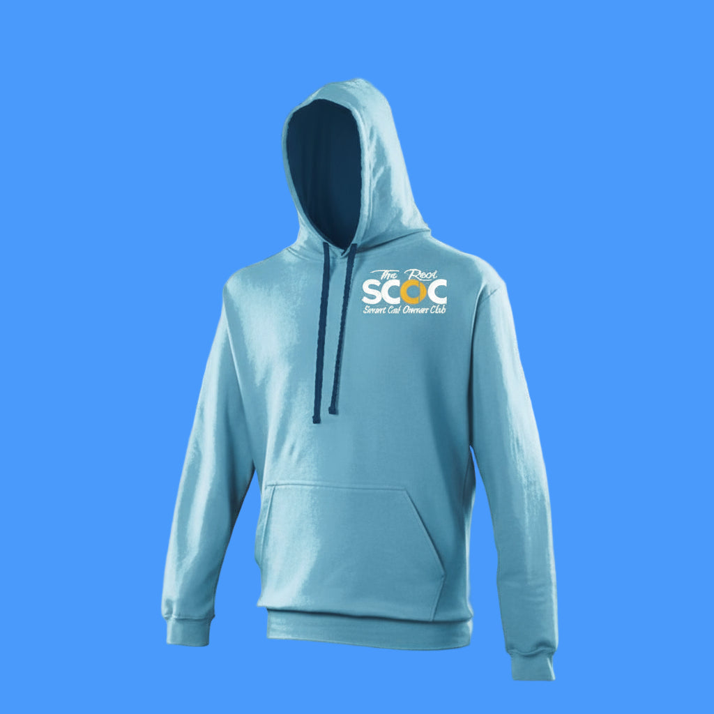 Light blue hoodie with a logo on the chest against a white background