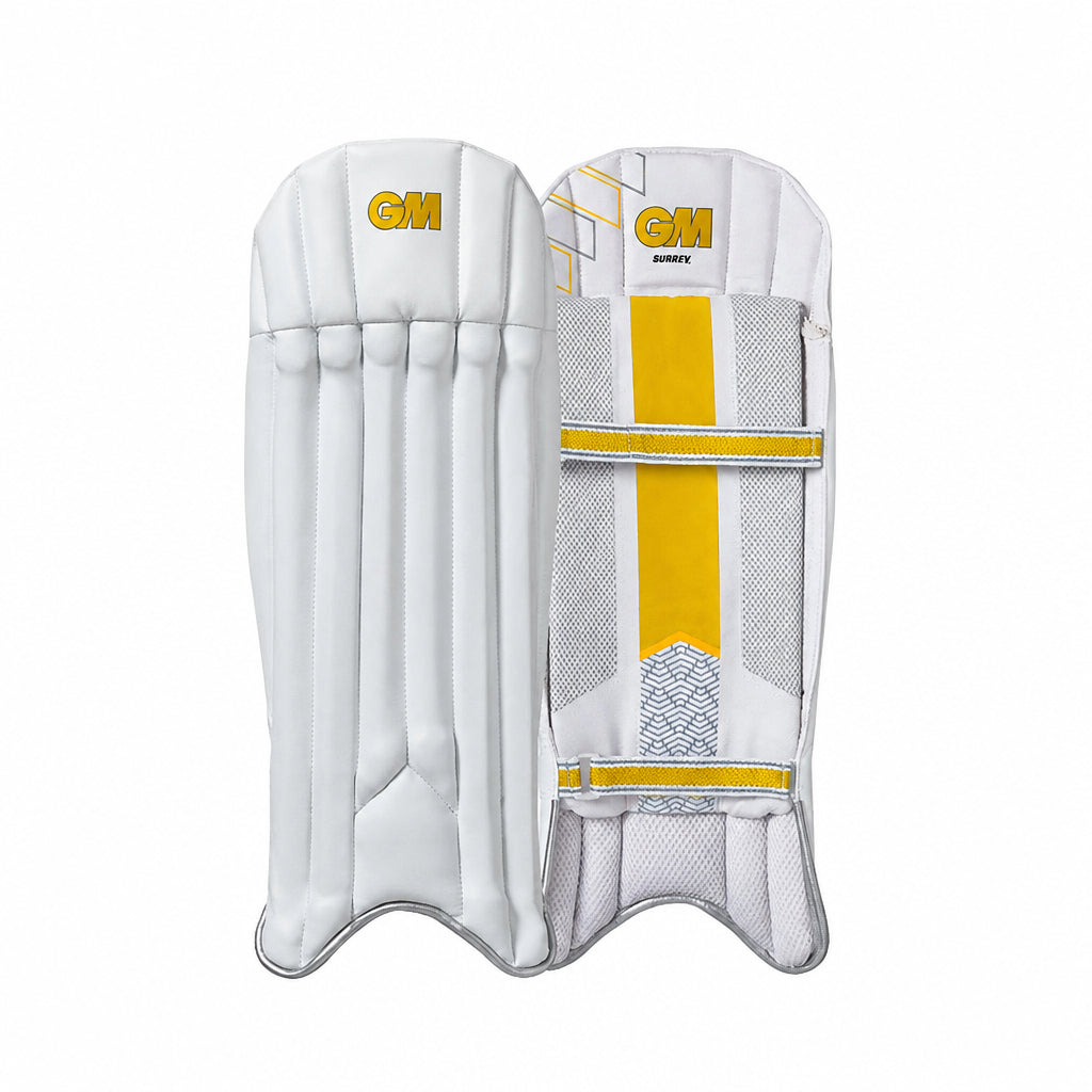 A pair of white cricket leg guards with navy blue and red accents, shown from both the front and back views against a plain white background.