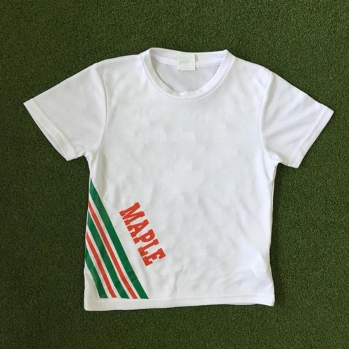 Blackwood School PE T-Shirt - Maple House