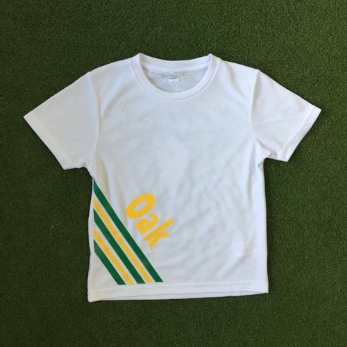 Blackwood School PE T-Shirt - Oak House
