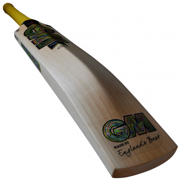 GM Pysche Cricket Bat - SH Senior Full Size - 606 Delta