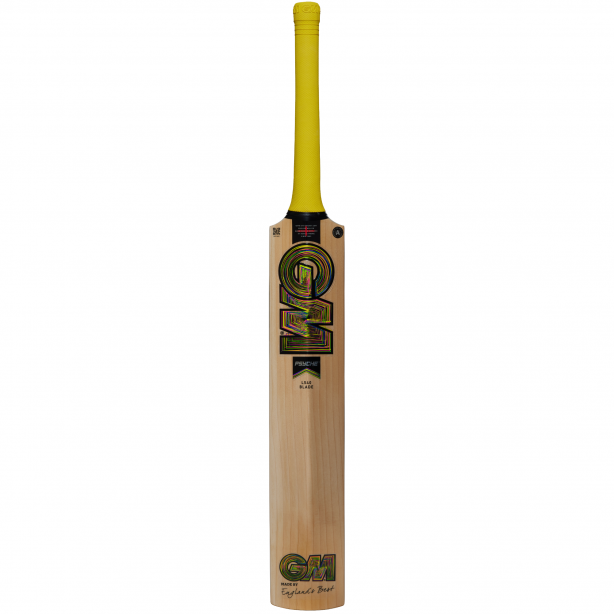GM Pysche Cricket Bat - SH Senior Full Size - 606 Delta