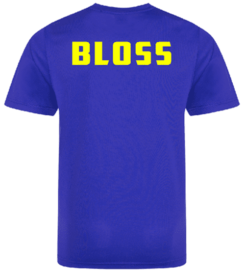 Solihull Blossomfield Training Tee - Bought as a pair
