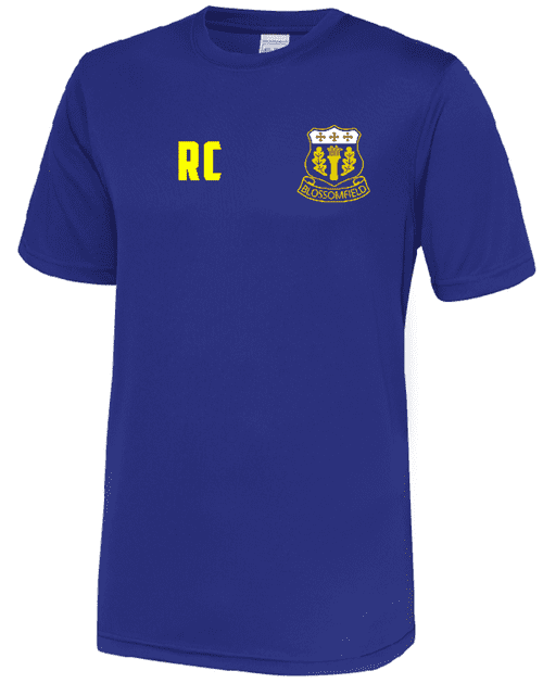 Solihull Blossomfield Training Tee - Bought as a pair