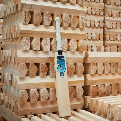 Diamond Cricket Bat 404 Short Handle